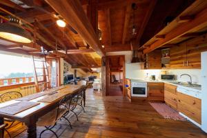 Kuchnia lub aneks kuchenny w obiekcie URAIN Suites - Apartments at Flysch-Coast