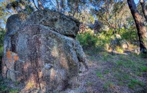 Paesaggio naturale nelle vicinanze del bed & breakfast