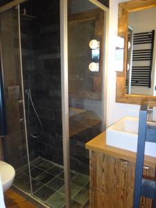 a bathroom with a shower and a sink and a toilet at La Petite Suite in Megève