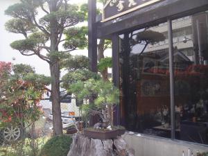 un par de bonsáis sentados fuera de una tienda en Hotel Suehiro, en Matsumoto