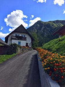 un camino que conduce a una casa con flores en Apartma Stenar, en Mojstrana