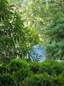 un objet bleu au milieu de quelques arbres dans l'établissement L'Hôtel Particulier, à Arles