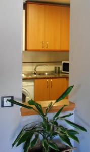 a potted plant in a kitchen with wooden cabinets at Ale Benavites in Ávila
