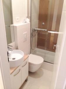 a bathroom with a toilet and a sink and a shower at Apartment Sol - 5m from the sea in Drasnice