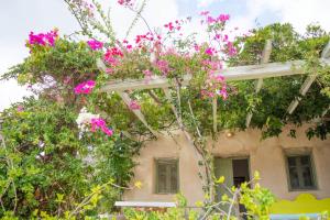 Φωτογραφία από το άλμπουμ του Perivoli House στον Μυλοπότα +78 φωτογραφίες