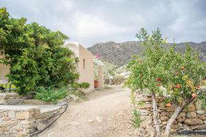 a house with an apple tree and a stone wall at Perivoli House in Mylopotas