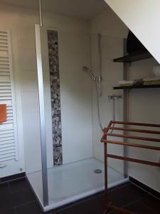 a bathroom with a shower with a glass door at Sweet Home Suite in Hallerndorf +44 photos