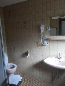 a bathroom with a toilet and a sink and a phone at Ganerb in Dudenhofen