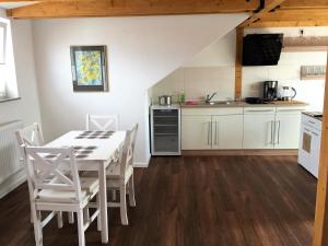 a kitchen with a table and chairs in a room at Apartments SMAG Barbiergasse in Pirna