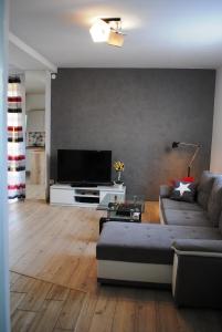 een woonkamer met een bank en een flatscreen-tv bij Dom Adula in Janów Lubelski