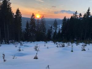 Príroda v okolí hotela
