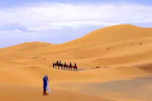 Tetamu yang menginap di Bivouac Le Petit Prince Merzouga