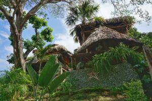 a house in the jungle with a thatched roof at Eco Hostal La Perla Tayrona in El Zaino