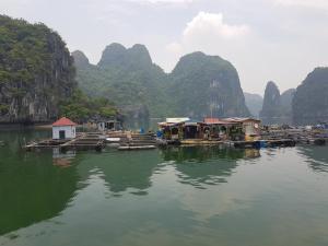 un grupo de casas sobre un cuerpo de agua con montañas en Luna's House Hostel en Cat Ba