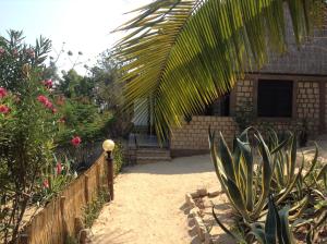 a garden with a fence and some plants and a house at Villa Maroloko in Ifaty