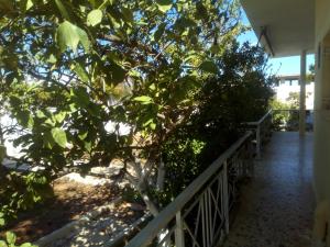 Balkón alebo terasa v ubytovaní Vangelis House near Athens Airport