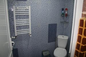 a bathroom with a toilet and a blue wall at Guest House Nima in Borjomi
