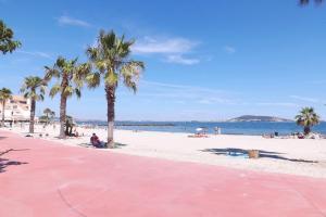 einen rosa Strand mit Palmen und dem Meer in der Unterkunft Appartement à 500m de la plage in Mèze