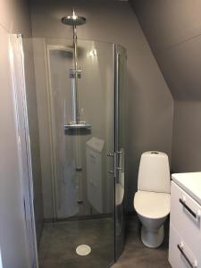 ein Bad mit einer Dusche und einem WC in der Unterkunft Nebulosavägen 20 in Sundsbruk