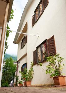 Gallery image of Marco Club in Gagra