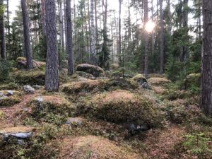 Loodusmaastik külalistemaja lähedal