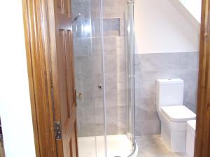 a bathroom with a shower and a toilet at Garbhein Bed & Breakfast in Kilmelfort