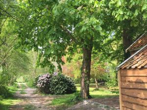 a path in a park with a tree and a house at Veenhoes in Vriescheloo