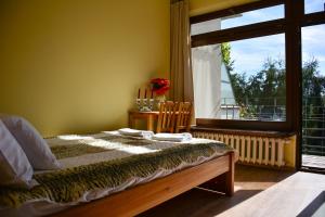 een slaapkamer met een bed en een groot raam bij Apartamenty Argo in Krakau