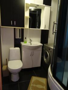 a small bathroom with a toilet and a sink at Apart Gagarina in Kropyvnytskyi