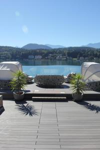 a view of a swimming pool with two palm trees at Seehotel Paulitsch in Velden am Wörthersee
