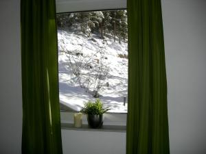 Alpine Appartement v zimě