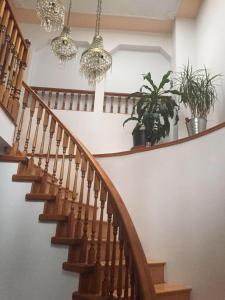 a wooden staircase with potted plants and chandeliers at Sandy's House in Vancouver