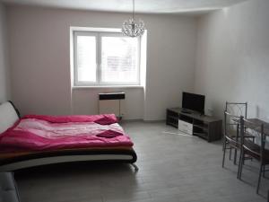 1 dormitorio con 1 cama, TV y ventana en Apartman Silver, en Zádiel