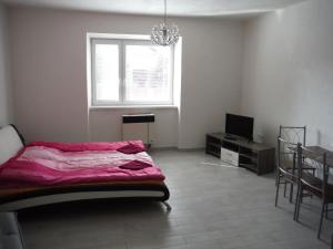 Televízia a/alebo spoločenská miestnosť v ubytovaní Apartman Silver