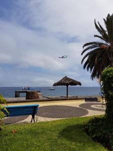 a blue bench in front of the ocean with an airplane at ZiZis Place in Santa Cruz +16 photos