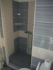 a bathroom with a shower with a toilet and a sink at Apartman Silver in Zádiel