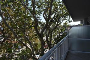 a tree on the balcony of a house at Galanis Studios and Apartments in Platamonas