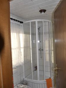 SaupsdorfにあるBergblickのバスルーム(シャワー、トイレ付)
