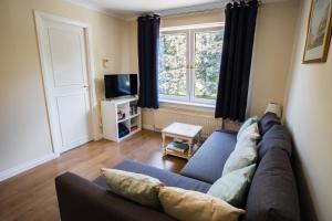 a living room with a couch and a window at Douglas Apartment in Alexandria