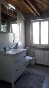 a bathroom with a sink and a toilet and a window at Direkt Wolfsburg in Wolfsburg