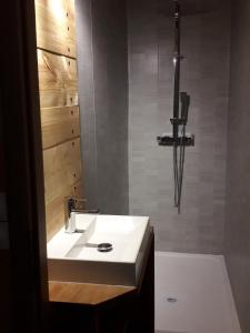 ein Badezimmer mit einem weißen Waschbecken und einer Dusche in der Unterkunft Chalet du Toit Vosgien in Gérardmer