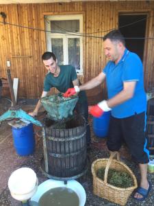Foto sihtkohas Kutaisi asuva majutusasutuse Hostel FORREST galeriist