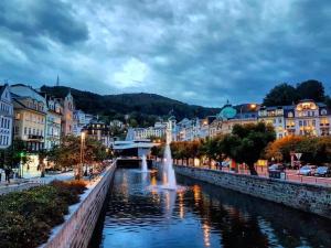 a river with a fountain in the middle of a city at Slunecni Lazne Apartments in Karlovy Vary