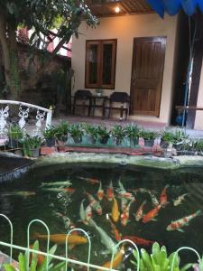 a pool of koi fish in a yard at Khoum Xieng Thong Boutique Villa in Luang Prabang