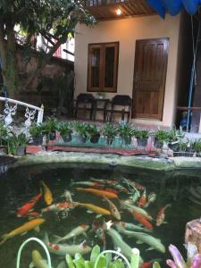 琅勃拉邦的住宿－庫姆桑通精品別墅，房屋前的大锦 ⁇ 池