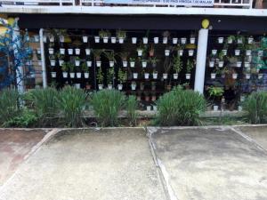 a garden with plants in front of a building at The Serai Cottage Boutique Hotel in Kuala Berang