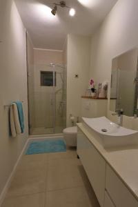 a bathroom with a shower and a sink and a toilet at Beach Cove 4 in Pereybere