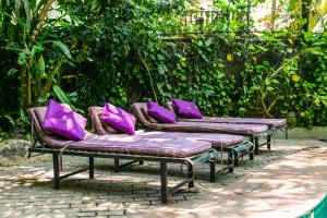 une rangée de bancs avec des oreillers violets dans l'établissement Thambapanni Retreat, à Unawatuna