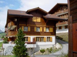 a large wooden house on a mountain at Apartment Saphir 2 - GRIWA RENT AG in Grindelwald