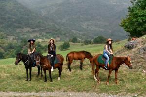 Gallery image of Gayane Hotel in Alaverdi